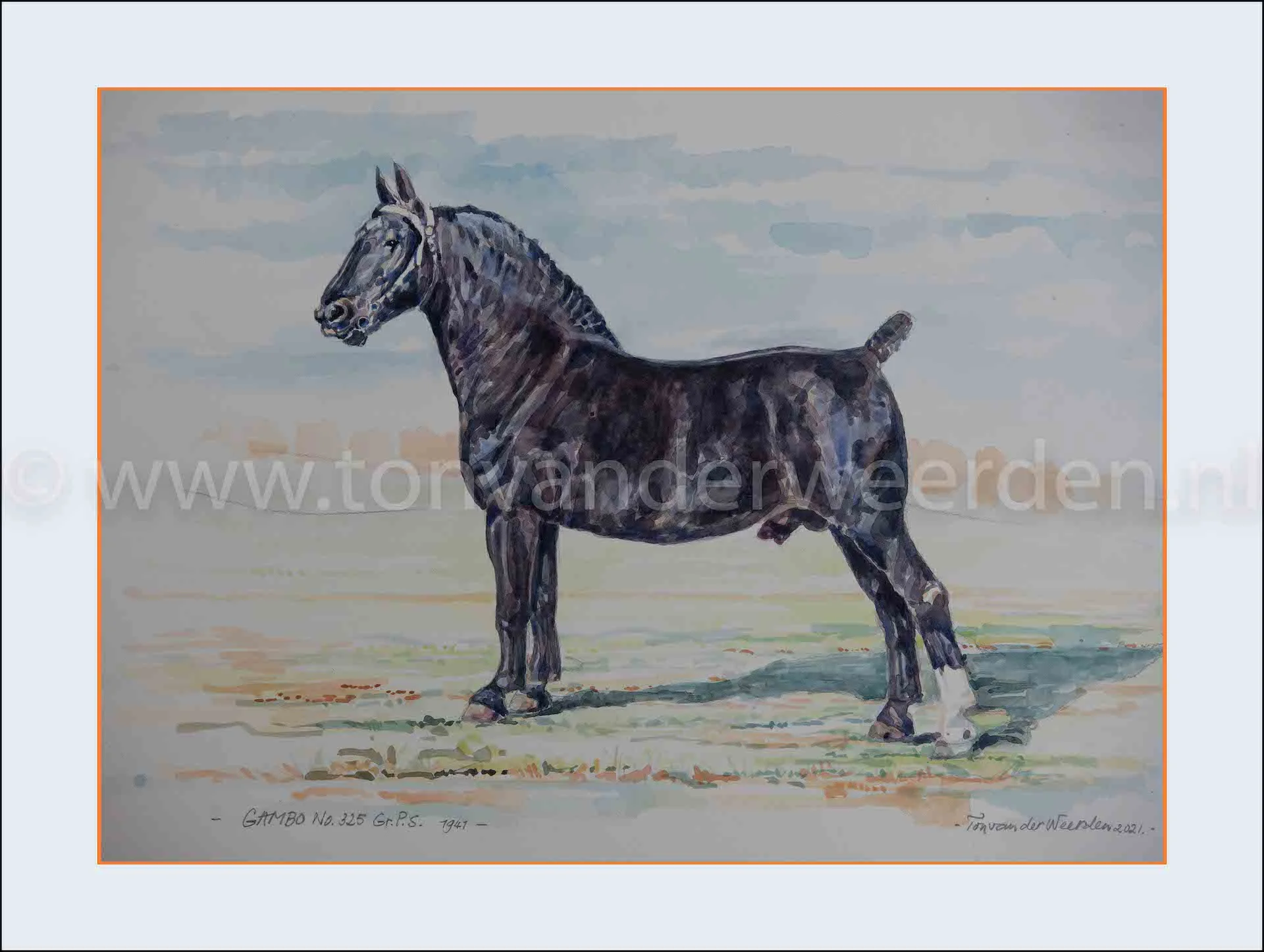 Gambo No. 325 Gr.P.S.