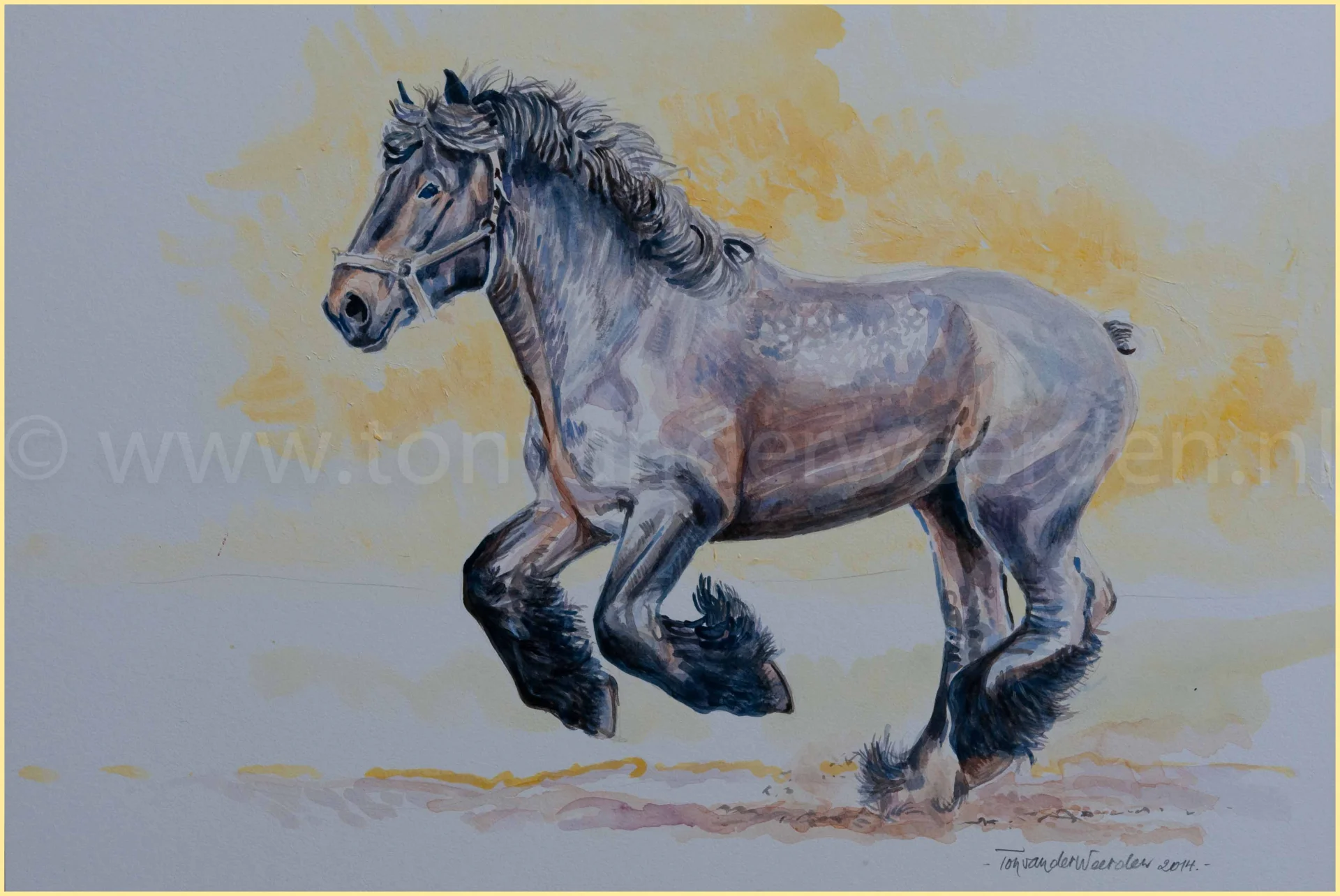 Gamin van de Lindehoef