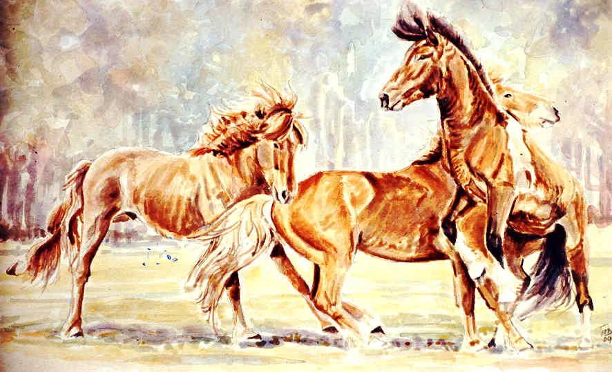 IJslanders in de Peel