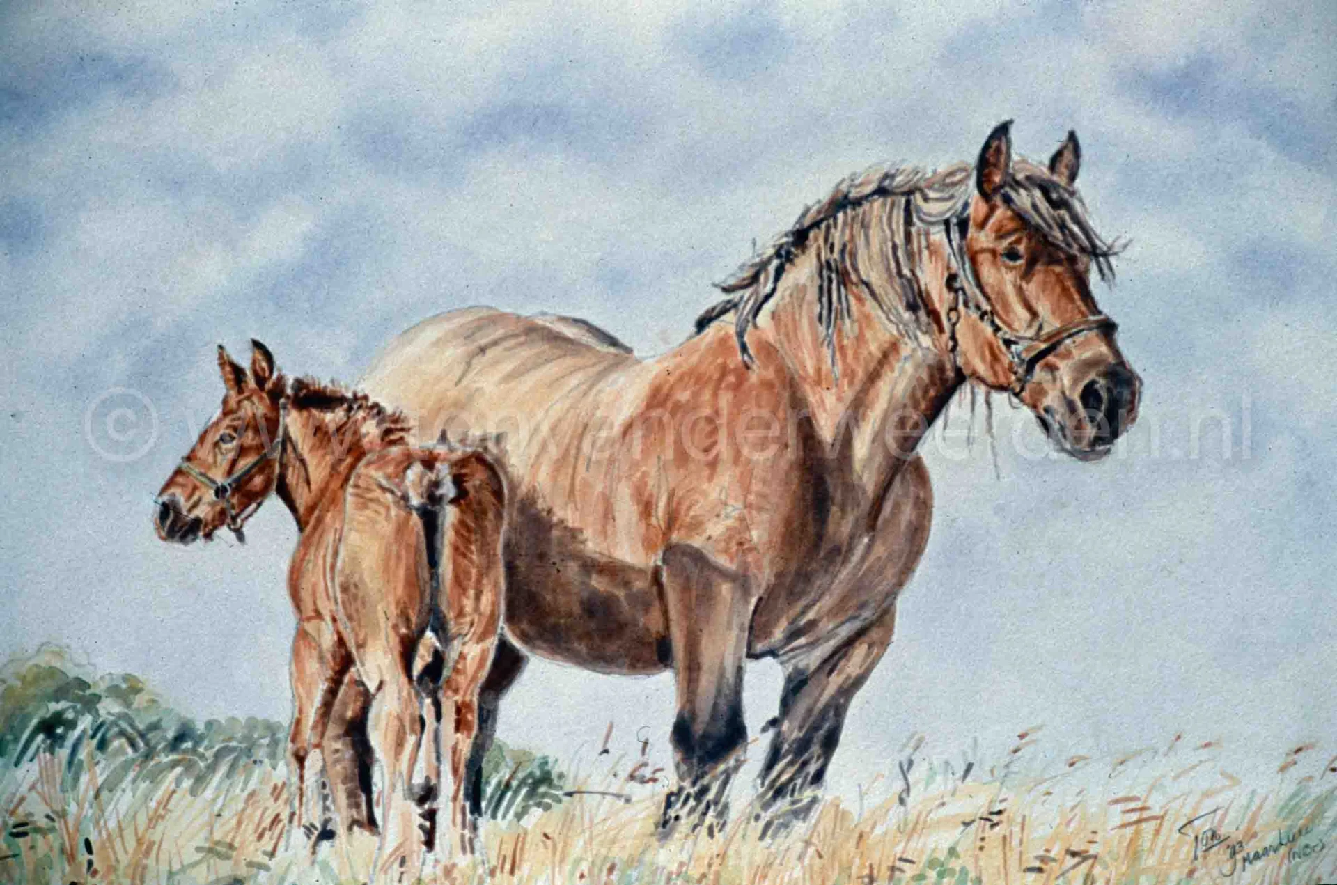 Lydia van Gunterslaer