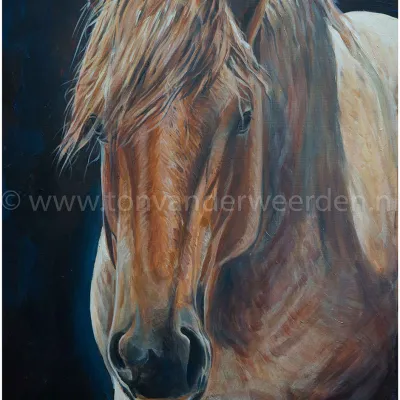 Yke van het Hermeshof	