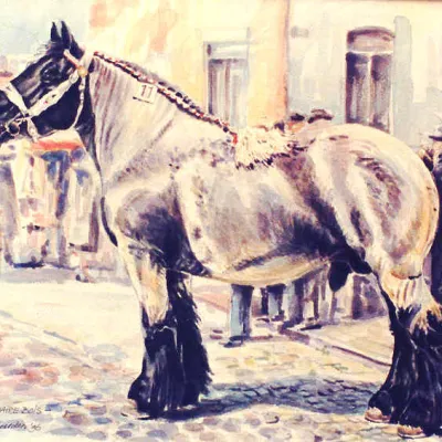 Barnum de Maire Bois