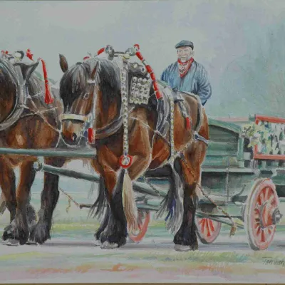 Tweespan bruine hengsten