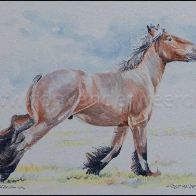 Hugo van de Vinkenbossen II