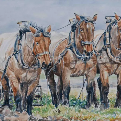 Driespan van Rien Mol