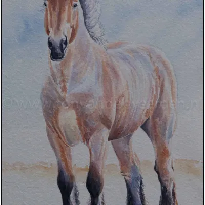 Hugo van de Vinkenbossen III