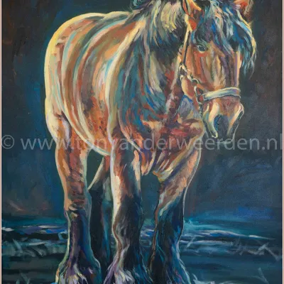 Gilles van de Molenput