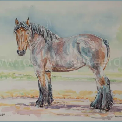 Wendy van de Klaverhoeve