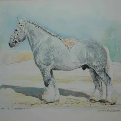 Karlo van de Vlamingweg