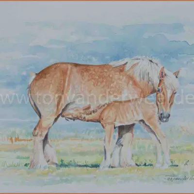 Vosmerrie met veulen