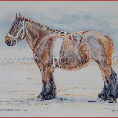 Bianca van Hazelbeek