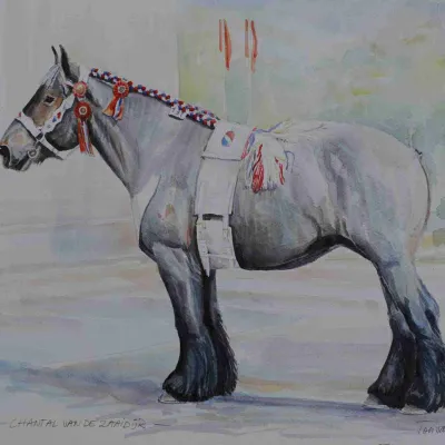 Chantal van de Zaaidijk