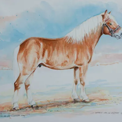 Were-di van de Vrijthof