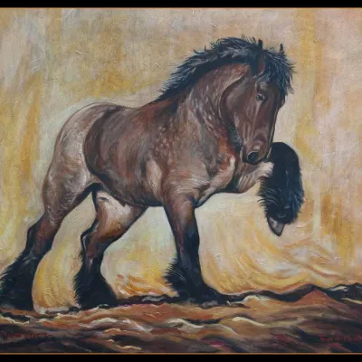 Tijn van de Vliegert