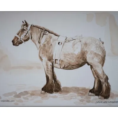 Nadia van Nieuwenhove