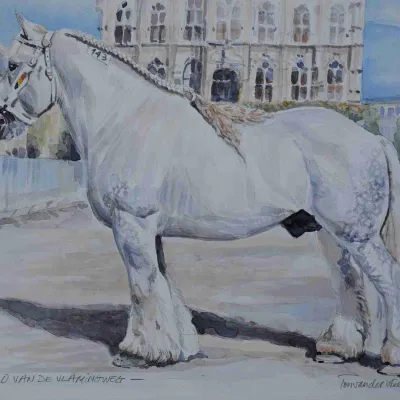 Karlo van de Vlamingweg