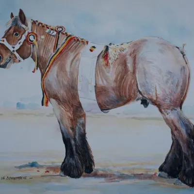 Gaston van de Bouwhoeve