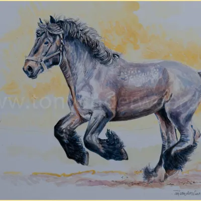 Gamin van de Lindehoef