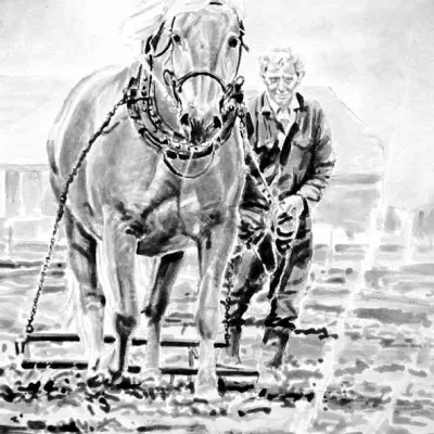 Haflinger voor de rondgaande ploeg