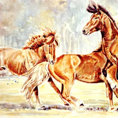 IJslanders in de Peel