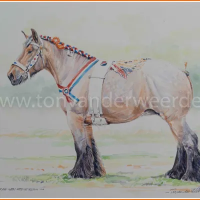 Sarah van Hoeve Ruth