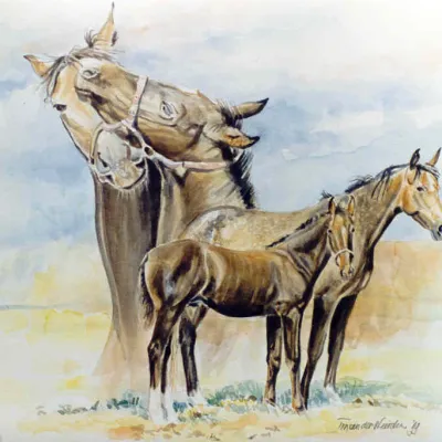 Impressie Rijpaarden