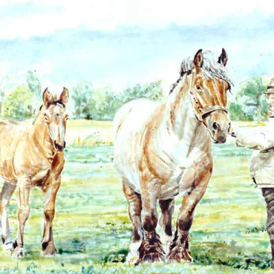 Lydka van Gunterslaer