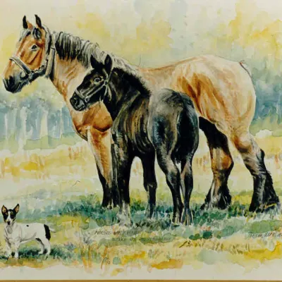 Marijke van 't Venhof