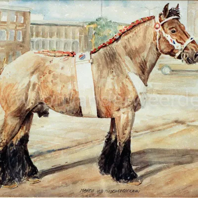 Marco van de Noorweegsekaai