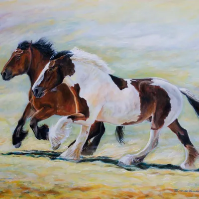 Trekpaard en Tinker II