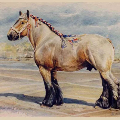 Tonic van t Bloemenhof