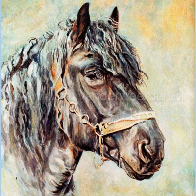 Udo van den Houwenberg