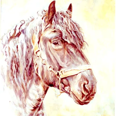 Udo van den Houwenberg